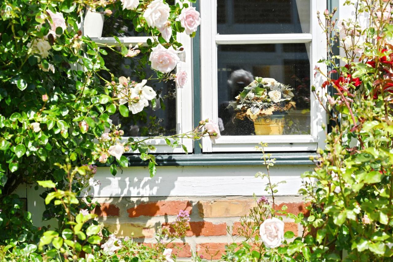 Landhaus Vilmnitz - Wohnung 10 Exteriér fotografie