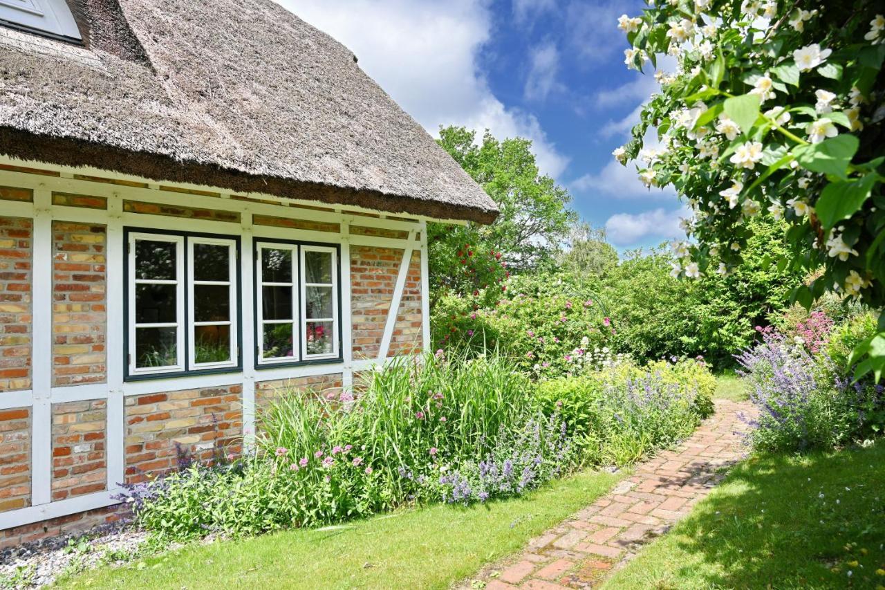 Landhaus Vilmnitz - Wohnung 10 Exteriér fotografie