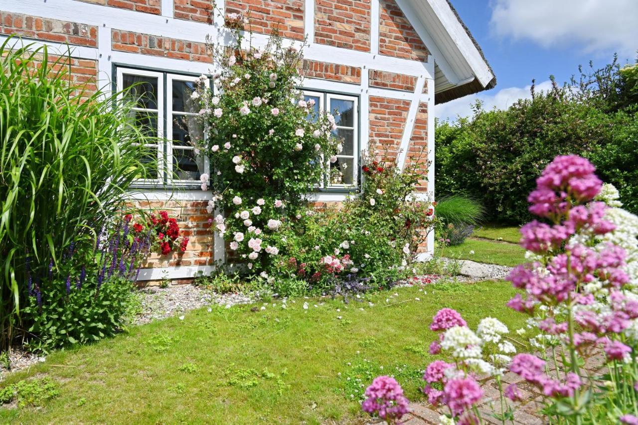 Landhaus Vilmnitz - Wohnung 10 Exteriér fotografie